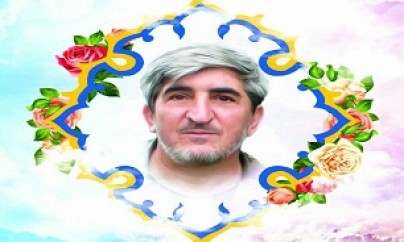 دومین سالگرد شهید درستی برگزار می‌شود