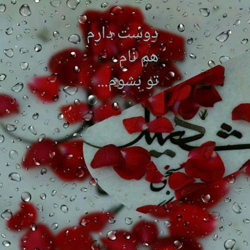 حوادث سیاسی