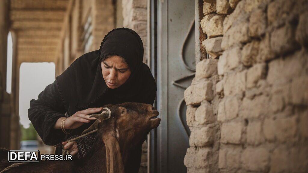 جشنواره فیلم کوثر و سیمای آزادگی